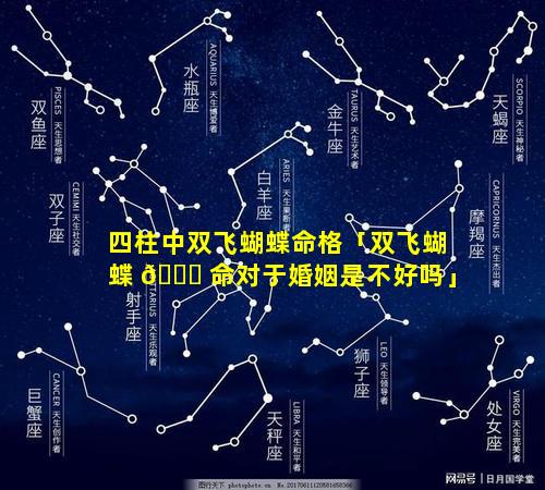 四柱中双飞蝴蝶命格「双飞蝴蝶 🐘 命对于婚姻是不好吗」